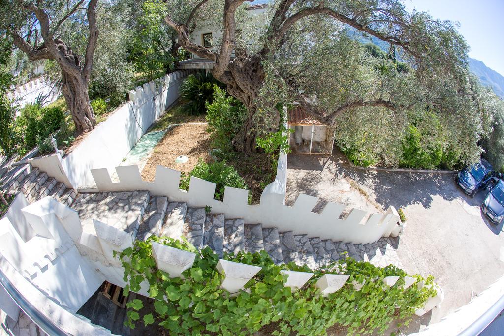 Villa The Turtles Garden Bečići Exterior foto